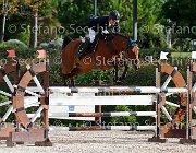 Del Covillo Gerika GioCav2013 S5 1162 : Campionati Italiani Giovani Cavalli, Cattolica, Del Covillo Fabio, Gerika, ph Stefano Secchi ©